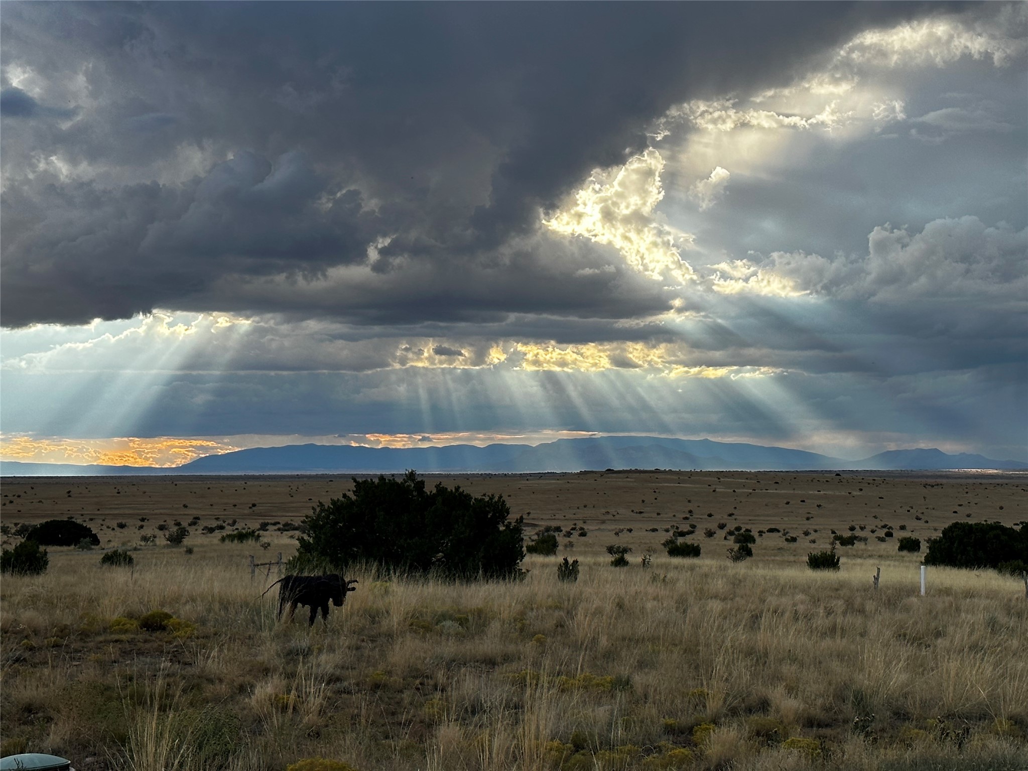 26262 US Highway 285 Ribera, NM 87560 - Photo 41 of 46