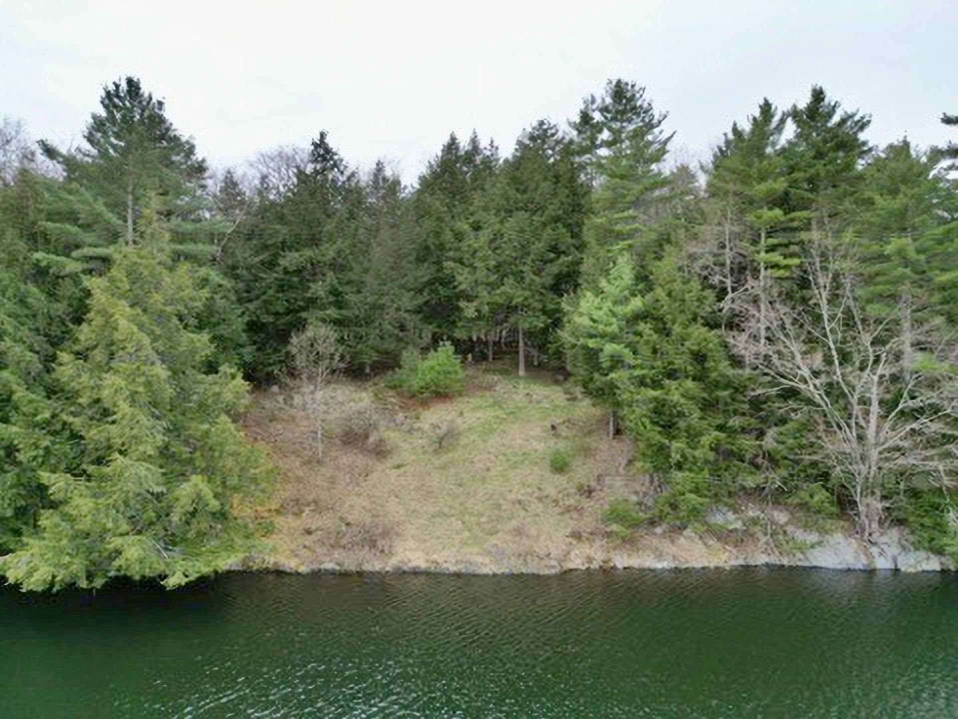 0 Ticklenaked Pond Road South Ryegate, VT 05069 - Photo 2 of 10 Gallery Image 2