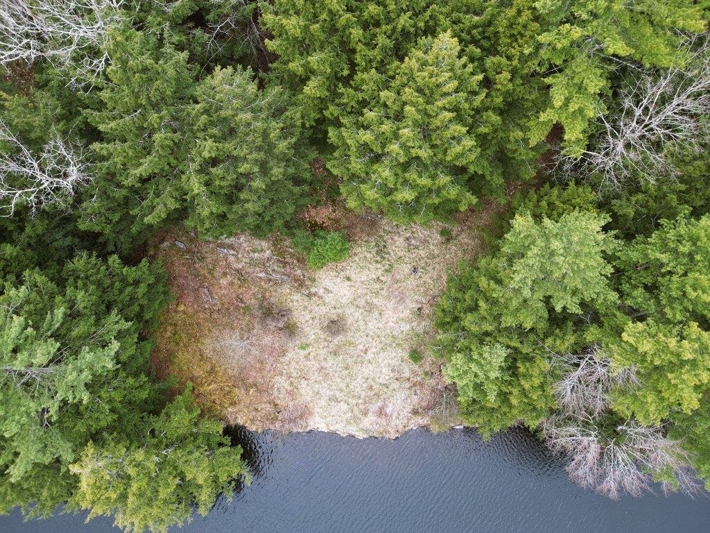 0 Ticklenaked Pond Road South Ryegate, VT 05069 - Photo 3 of 10 Gallery Image 3