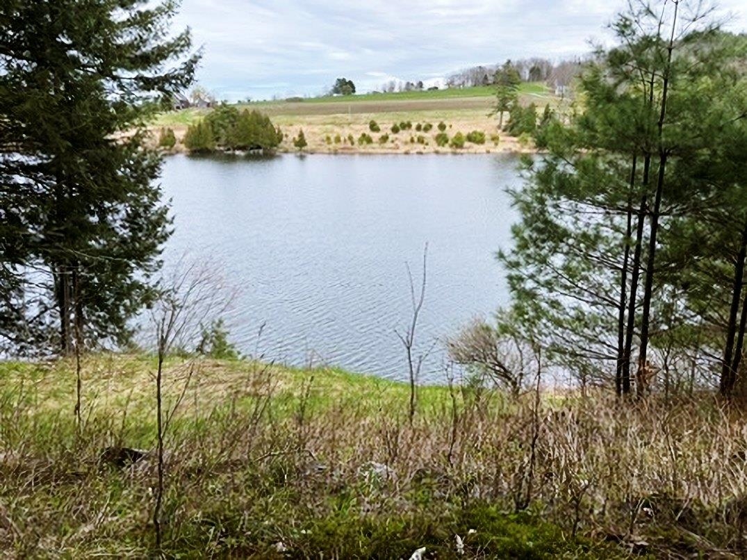 0 Ticklenaked Pond Road South Ryegate, VT 05069 - Photo 6 of 10 Gallery Image 6