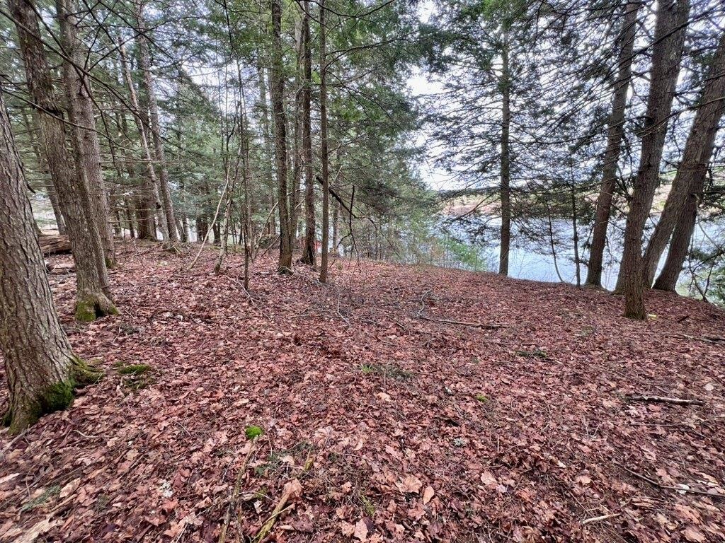 0 Ticklenaked Pond Road South Ryegate, VT 05069 - Photo 7 of 10 Gallery Image 7