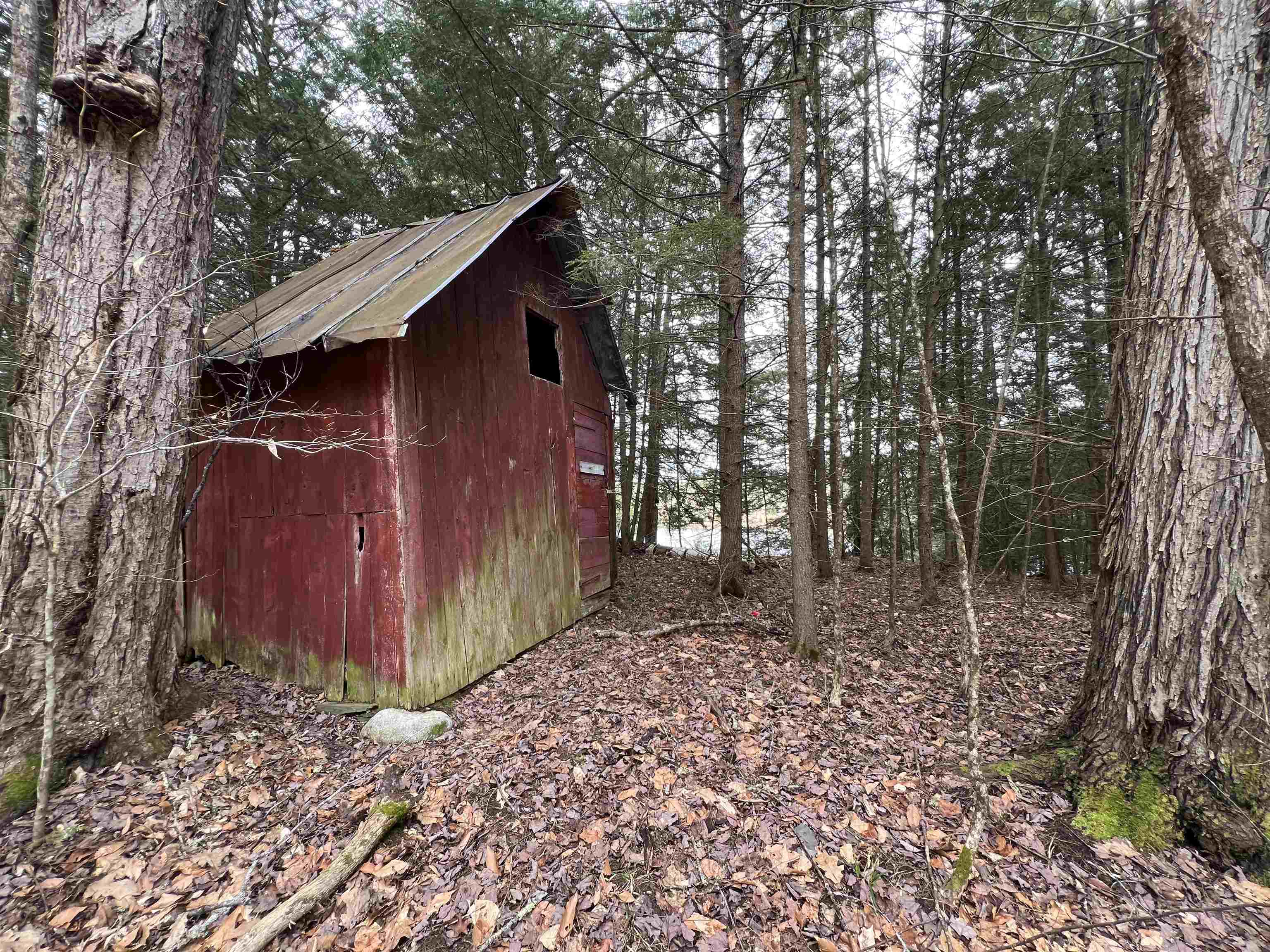 0 Ticklenaked Pond Road South Ryegate, VT 05069 - Photo 8 of 10 Gallery Image 8