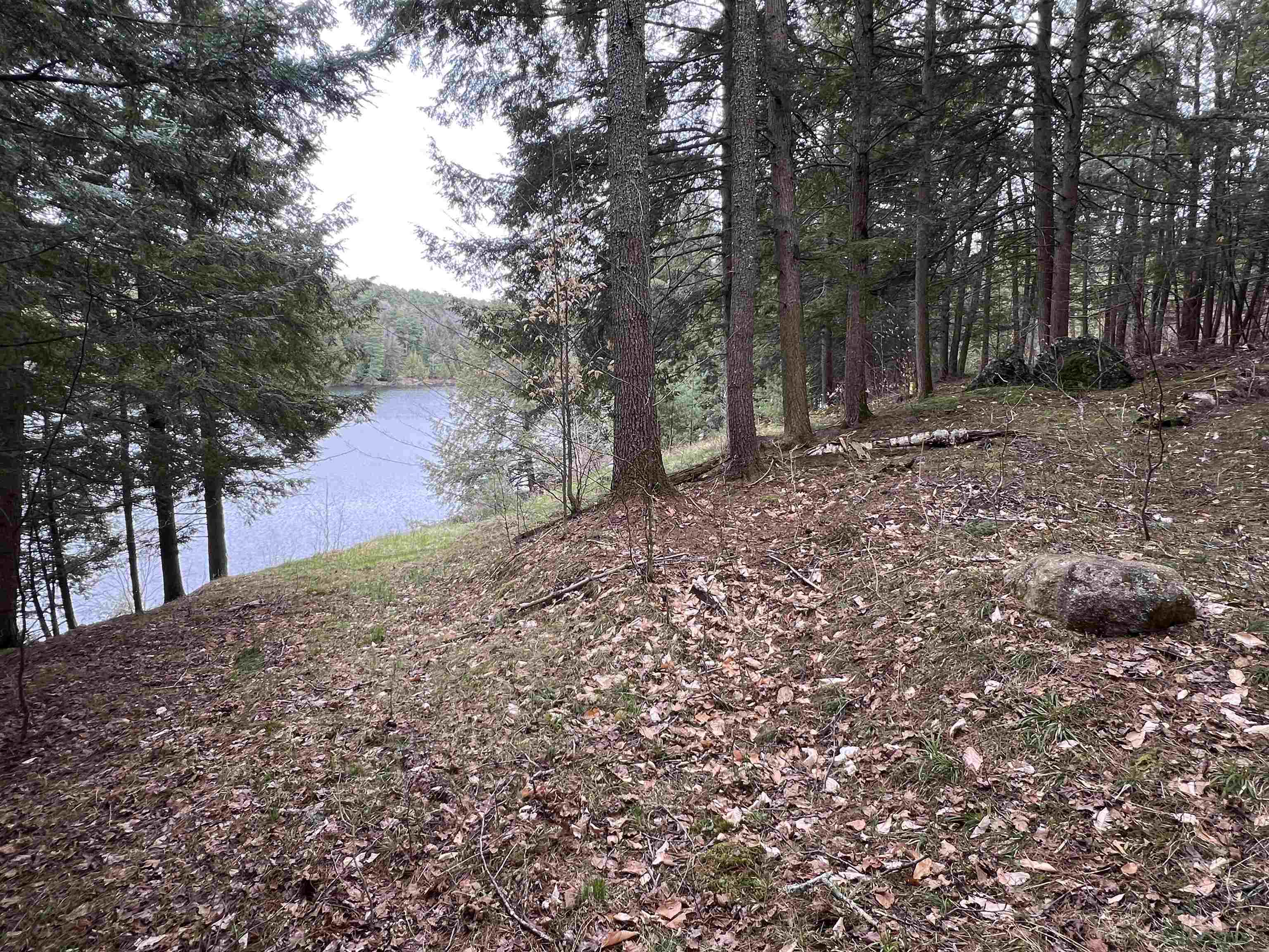 0 Ticklenaked Pond Road South Ryegate, VT 05069 - Photo 10 of 10 Gallery Image 10