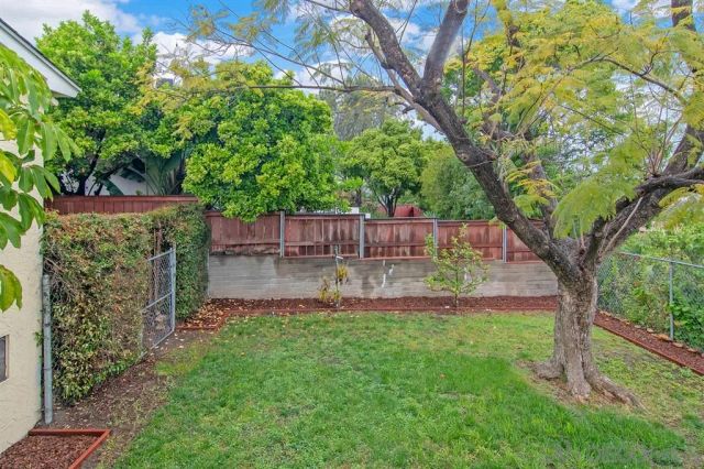a view of a yard with a tree