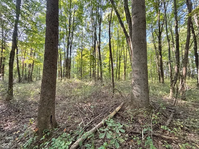 $675,000 | 14756 Highway 59, Jasonville, IN 47438