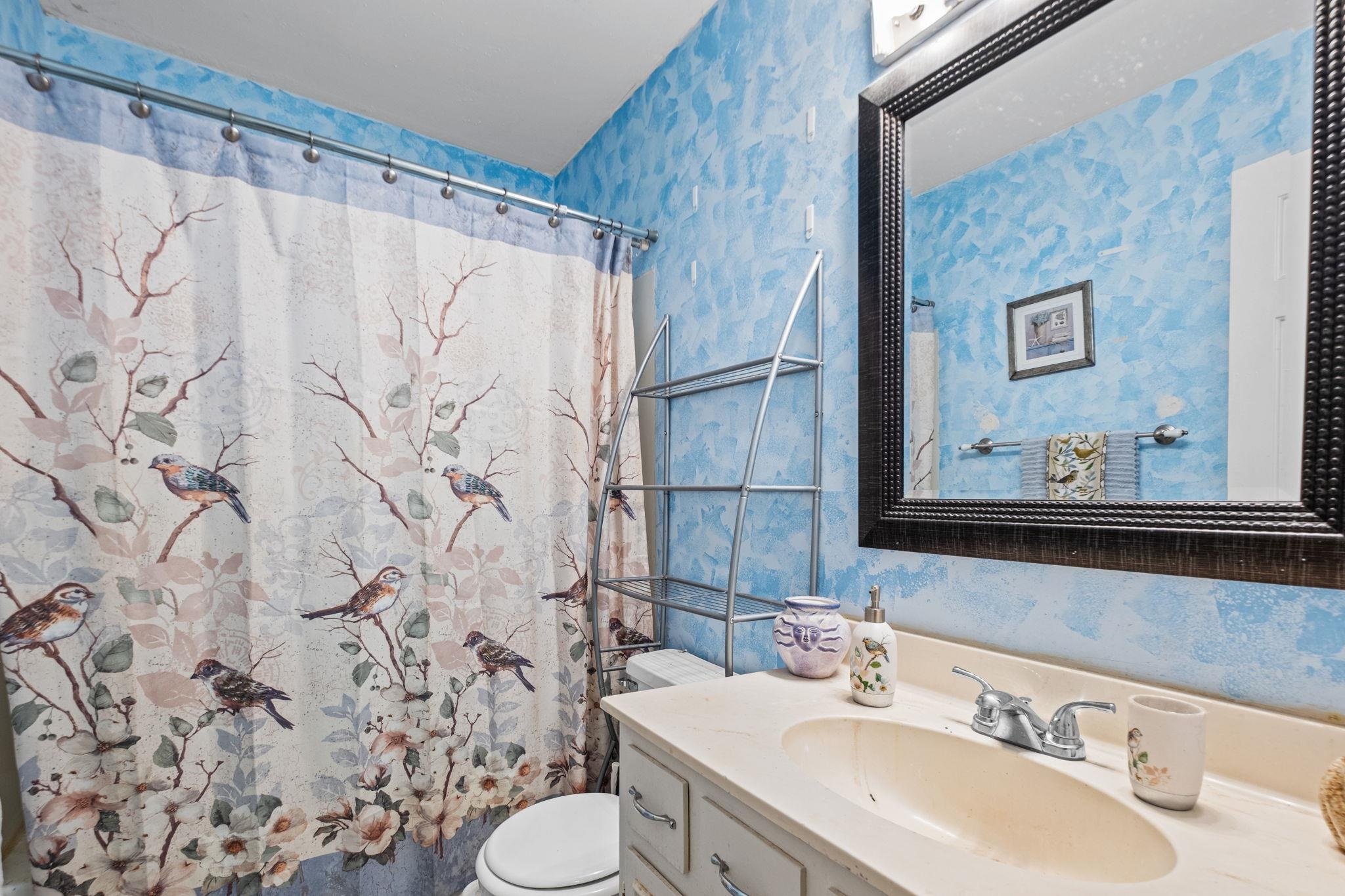 4572 Benoit Drive Memphis, TN 38141 - Photo 18 of 25 a bathroom with a sink and a mirror