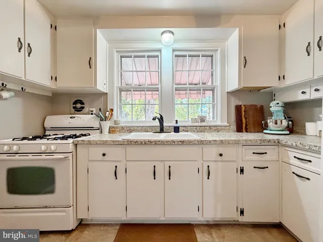 a kitchen with a stove and a potted plant