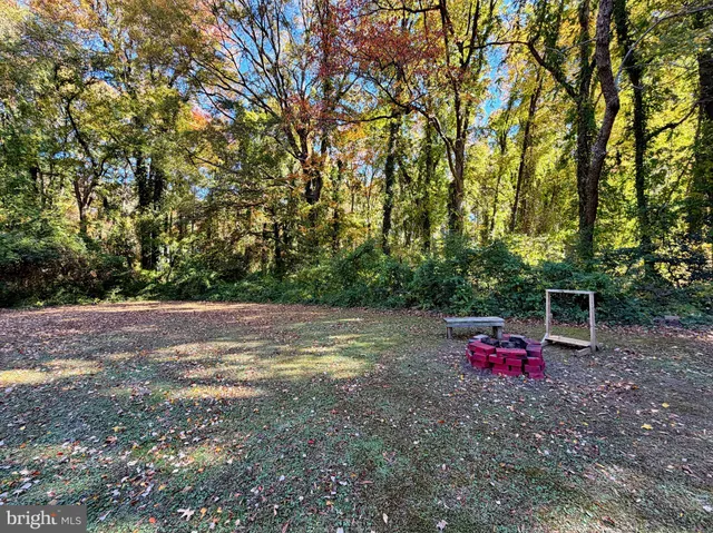 a view of a field with trees in the background