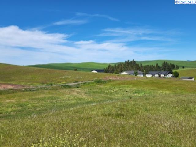 Lot 9 Red Tail Ridge Road Colfax, WA 99111 - Photo 4 of 6 Gallery Image 4