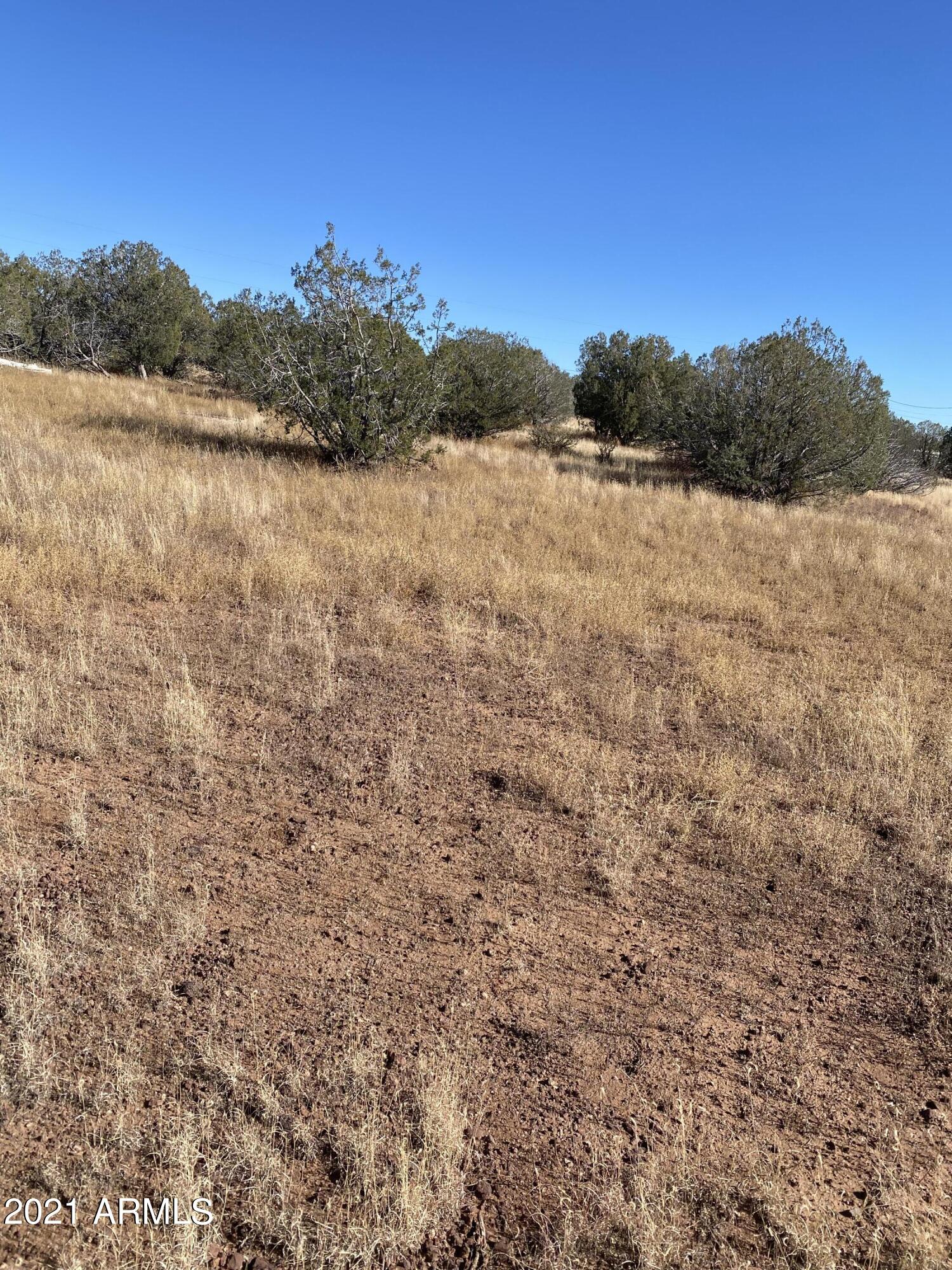 3328 Hillside Road, Unit 131 Williams, AZ 86046 - Photo 11 of 15 Photo Oct 30, 1 55 31 PM