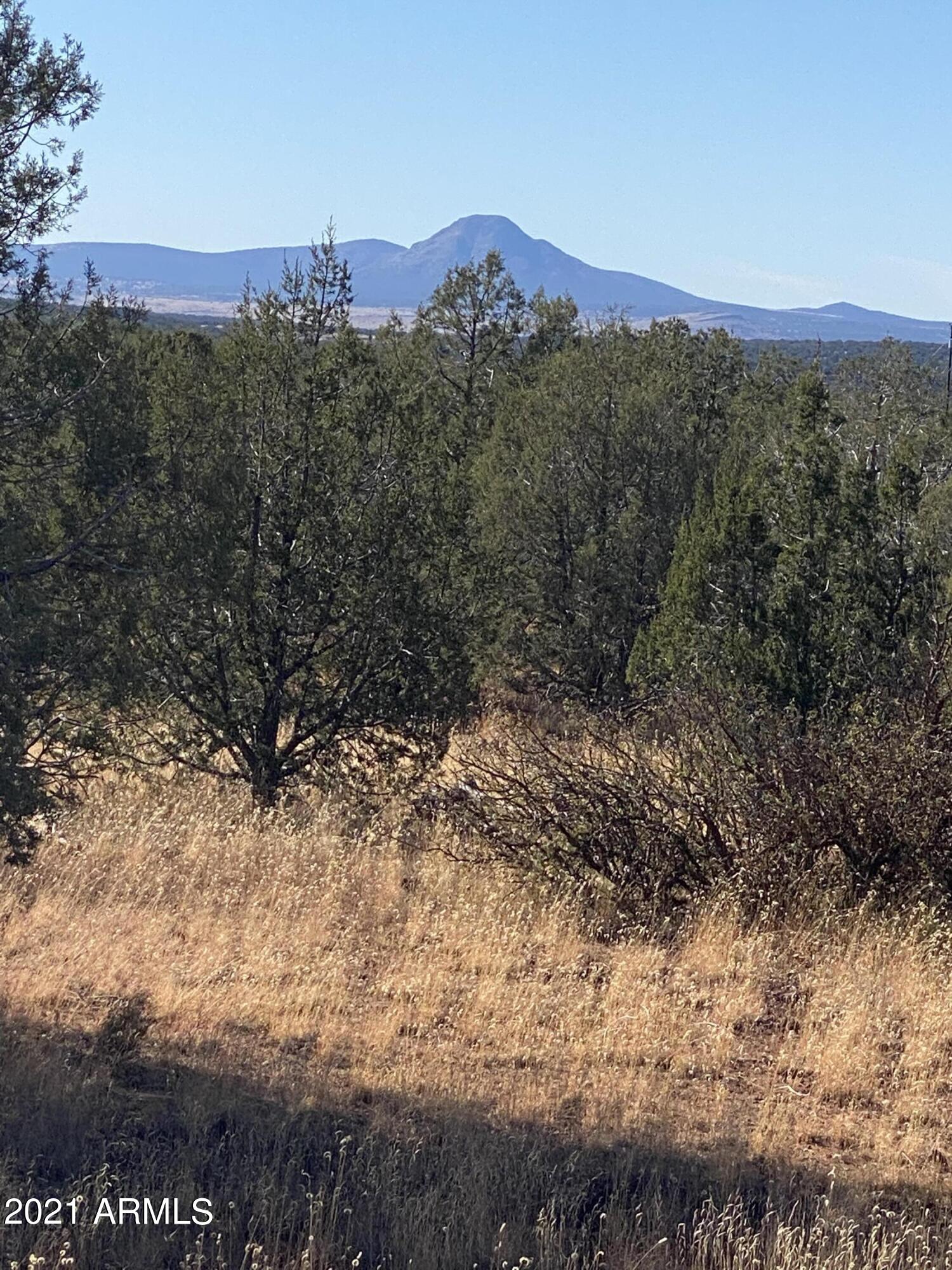 3328 Hillside Road, Unit 131 Williams, AZ 86046 - Photo 3 of 15 Photo Oct 30, 1 44 04 PM