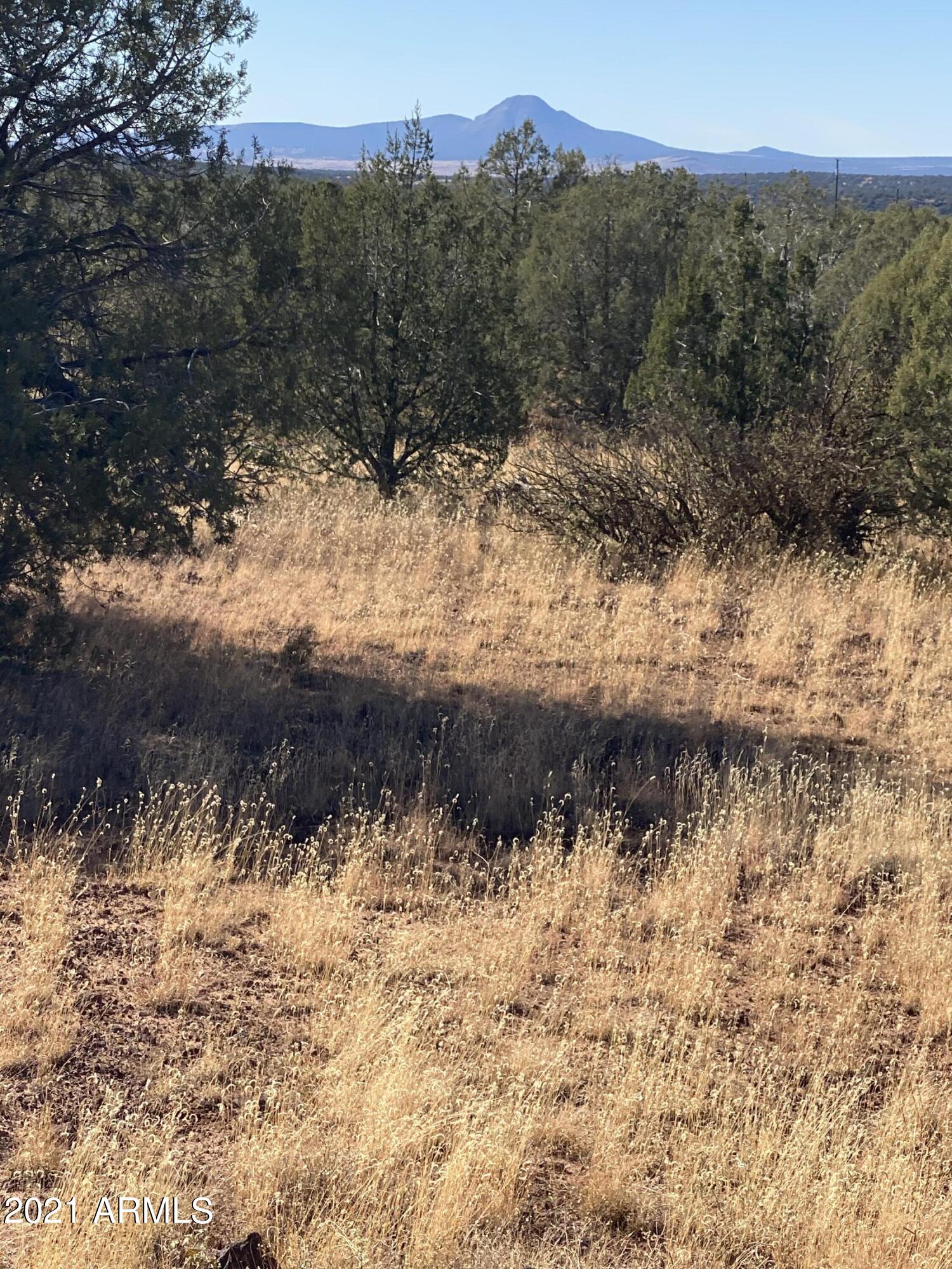3328 Hillside Road, Unit 131 Williams, AZ 86046 - Photo 4 of 15 Photo Oct 30, 1 44 08 PM