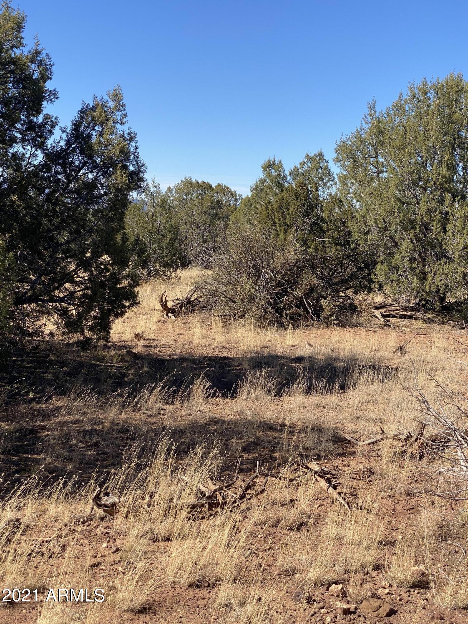 3328 Hillside Road, Unit 131 Williams, AZ 86046 - Photo 5 of 15 Photo Oct 30, 1 47 11 PM
