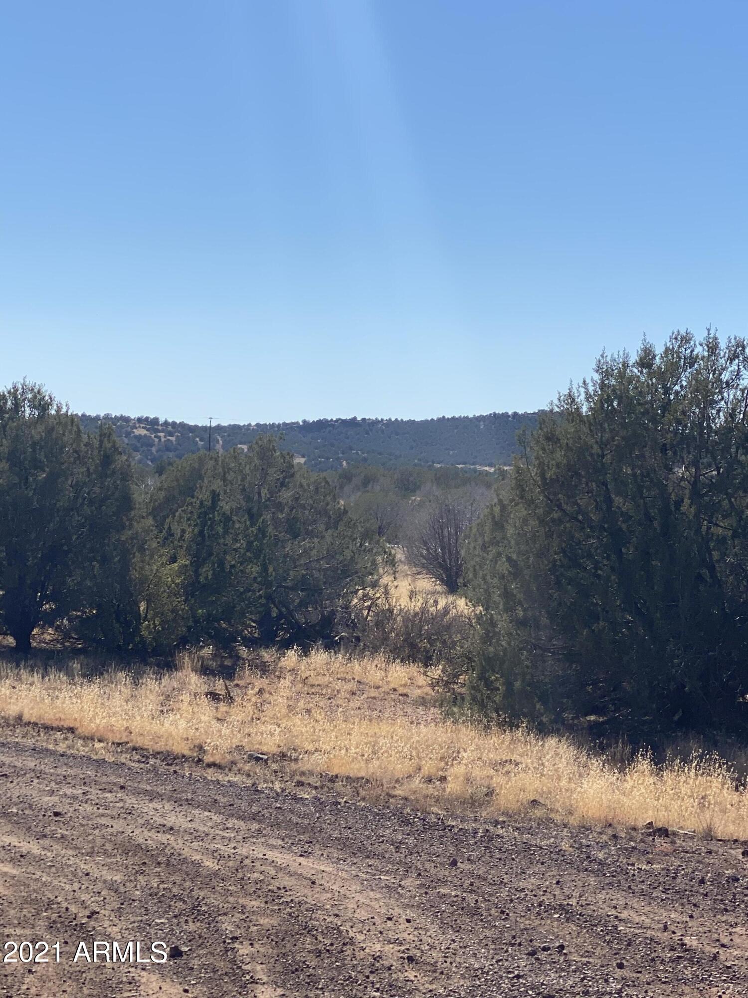 3328 Hillside Road, Unit 131 Williams, AZ 86046 - Photo 6 of 15 Photo Oct 30, 1 48 27 PM