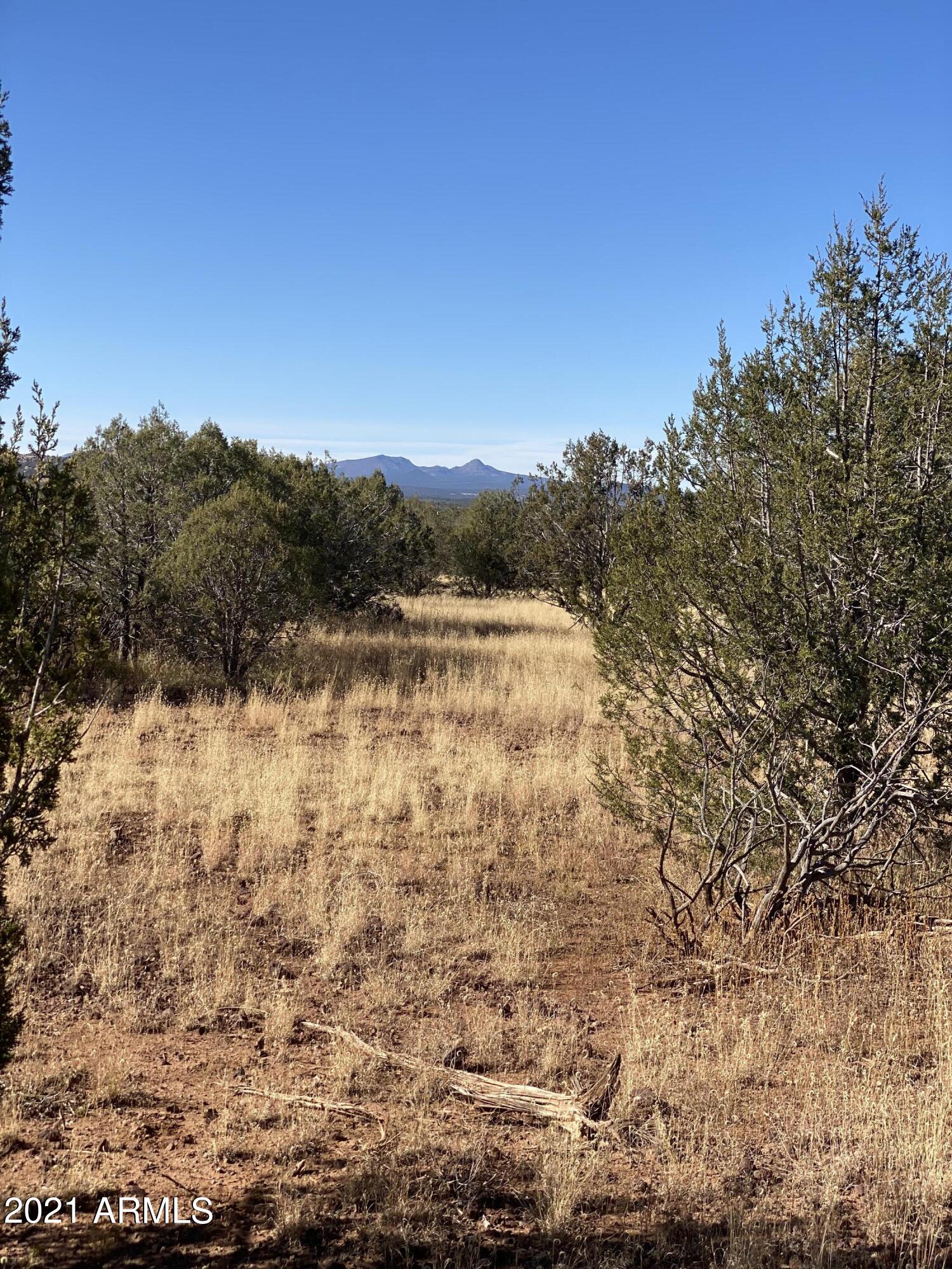3328 Hillside Road, Unit 131 Williams, AZ 86046 - Photo 8 of 15 Photo Oct 30, 1 50 57 PM