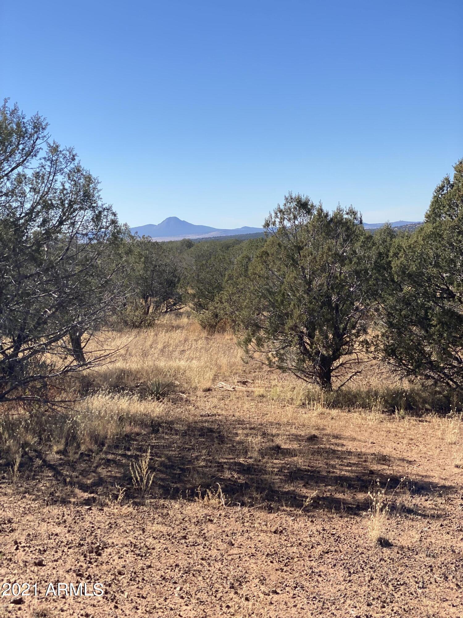 3328 Hillside Road, Unit 131 Williams, AZ 86046 - Photo 9 of 15 Photo Oct 30, 1 51 58 PM