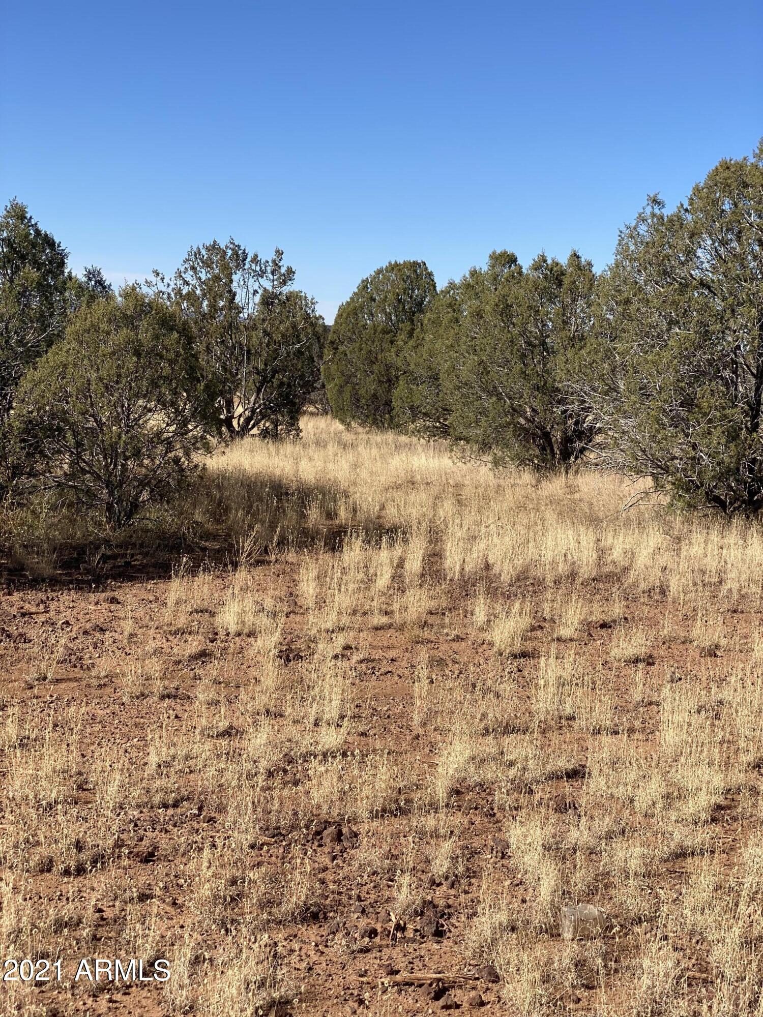3328 Hillside Road, Unit 131 Williams, AZ 86046 - Photo 10 of 15 Photo Oct 30, 1 52 04 PM