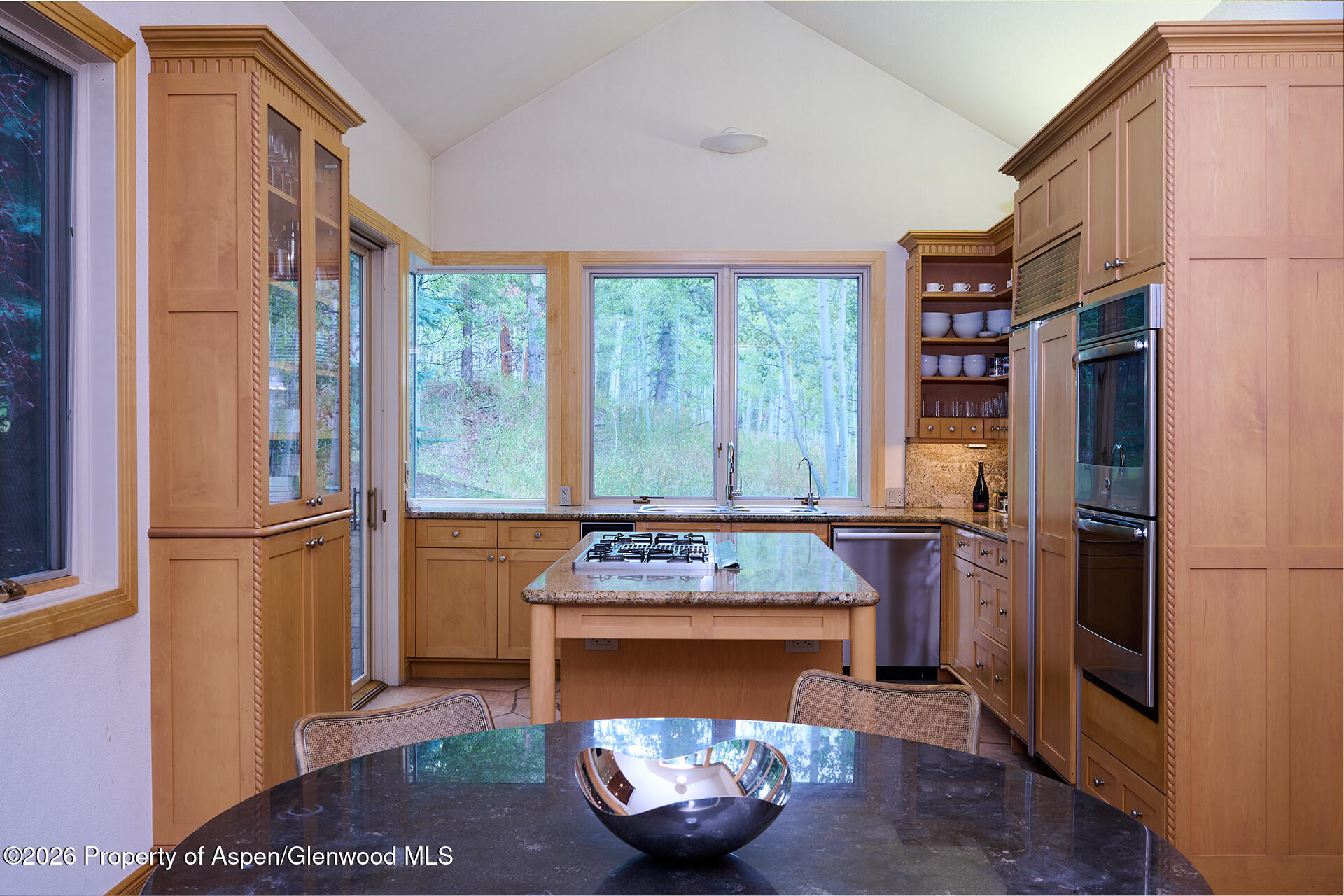 405 Glen Eagles Road Aspen, CO 81611 - Photo 14 of 29 405 Glen Eagle Dr Web 04