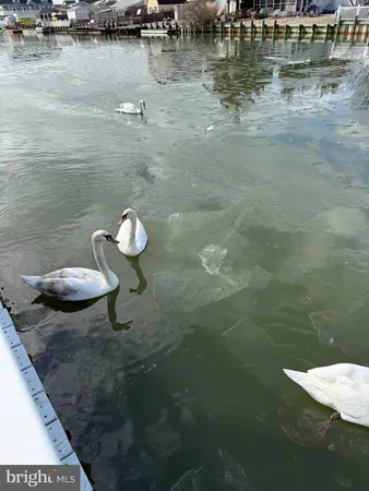 a view of a lake view