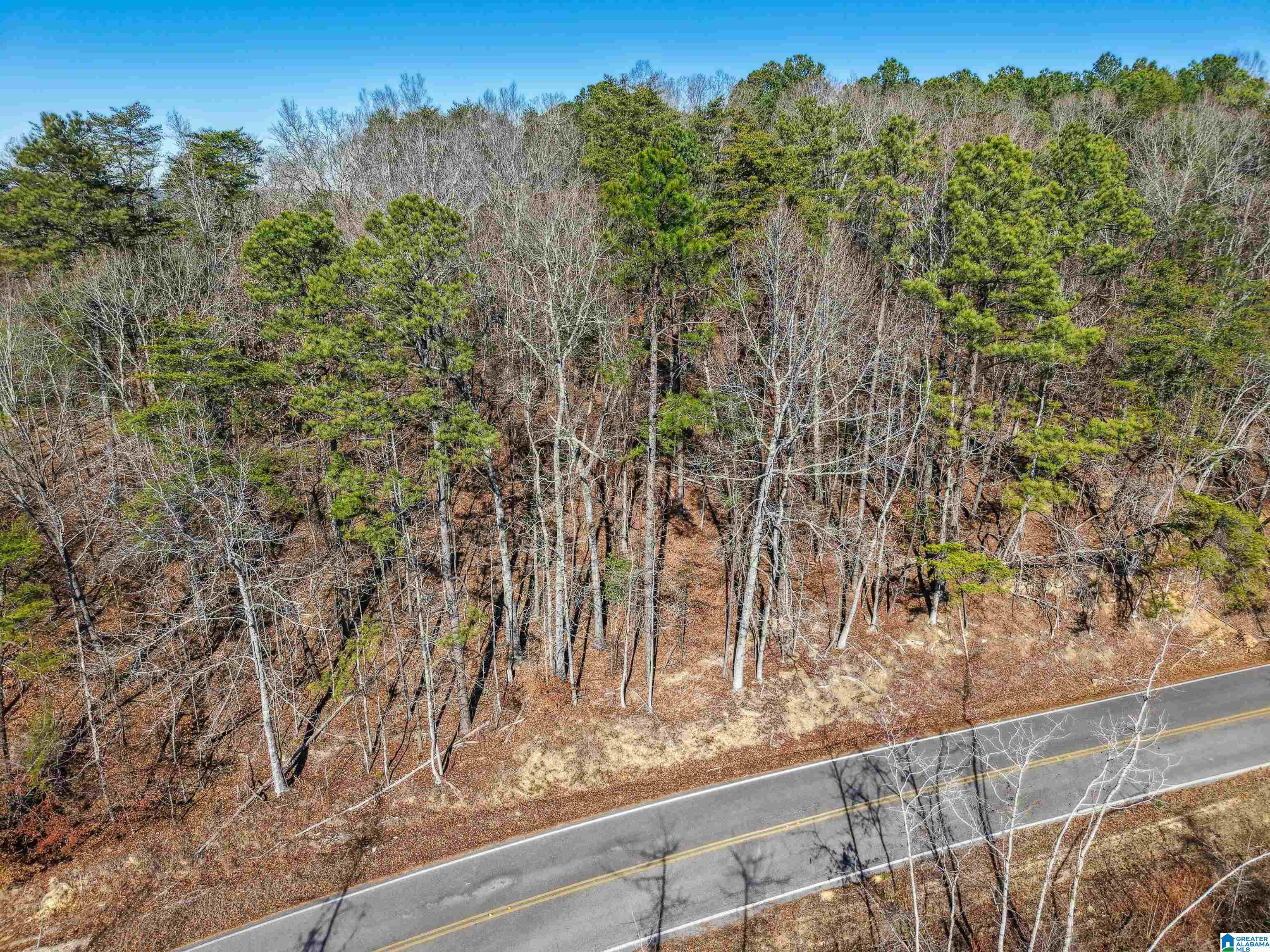 15065 Lock 17 Road, Unit 1 Adger, AL 35006 - Photo 9 of 10