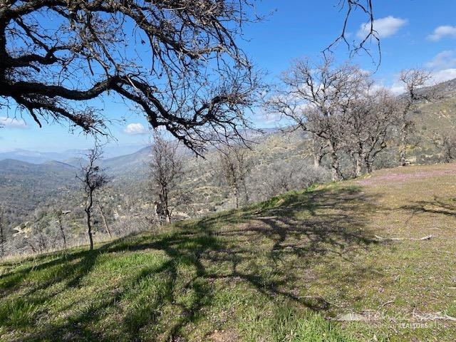 0 Piute Meadows Road Caliente, CA 93518 - Photo 13 of 18 Gallery Image 13