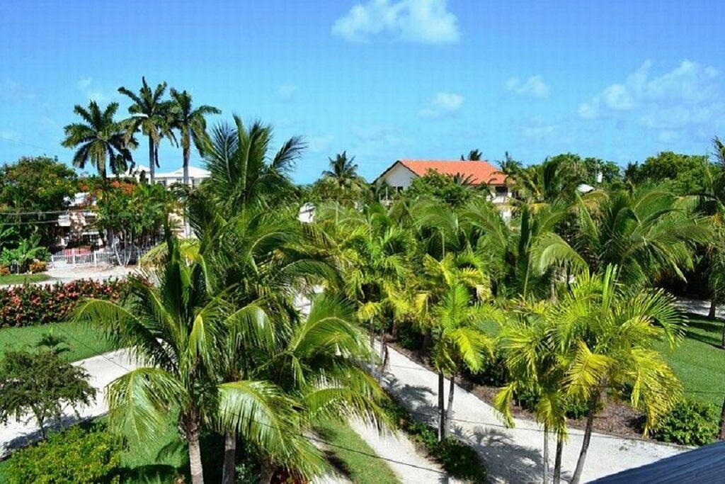 497 Sombrero Beach Road Marathon, FL 33050 - Photo 29 of 33 a backyard of a house with lots of green space