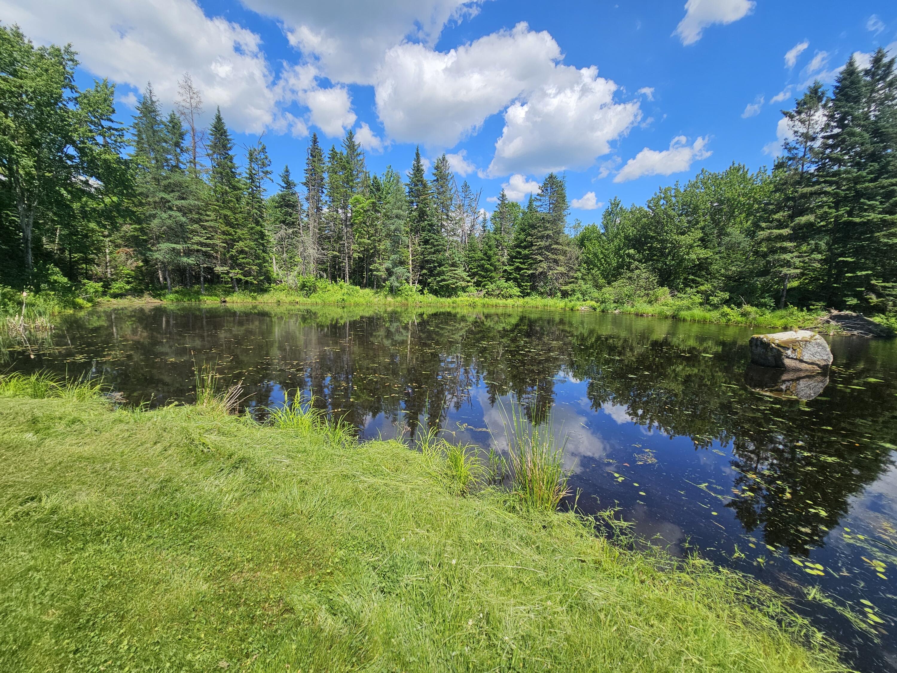 293 Lower Detroit Road Plymouth, ME 04969 - Photo 6 of 19