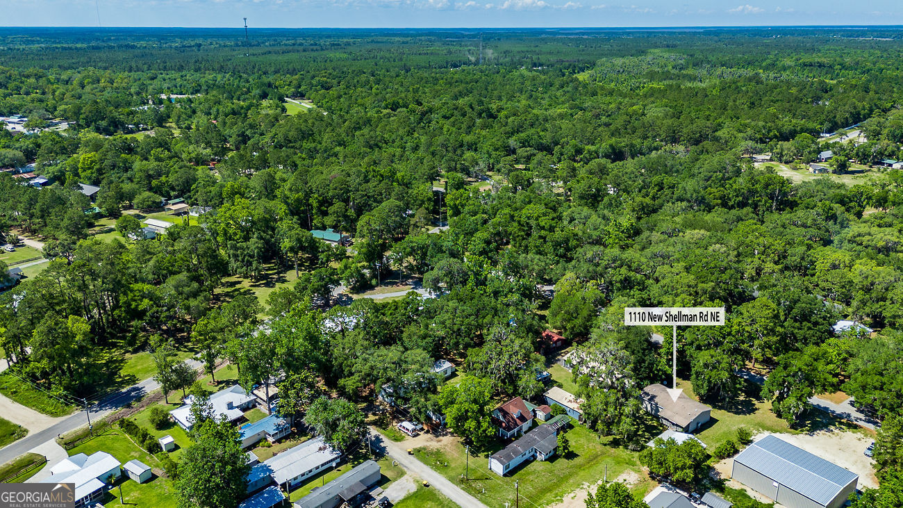 1110 New Shellman Rd N East Townsend, GA 31331 - Photo 45 of 45