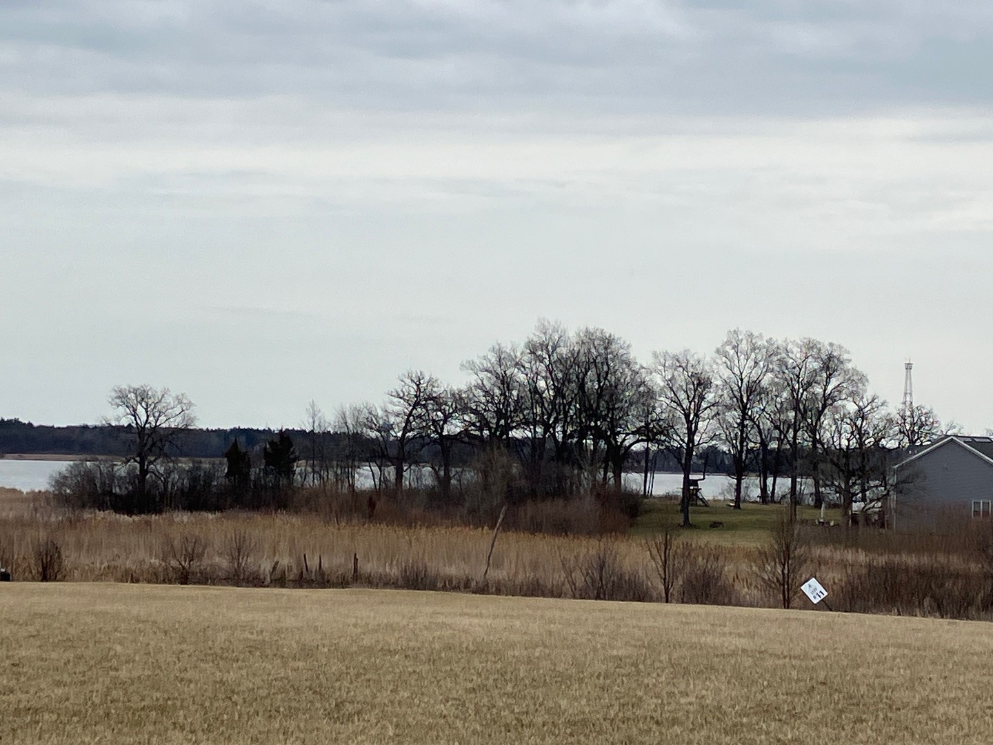 a view of swimming pool with a yard
