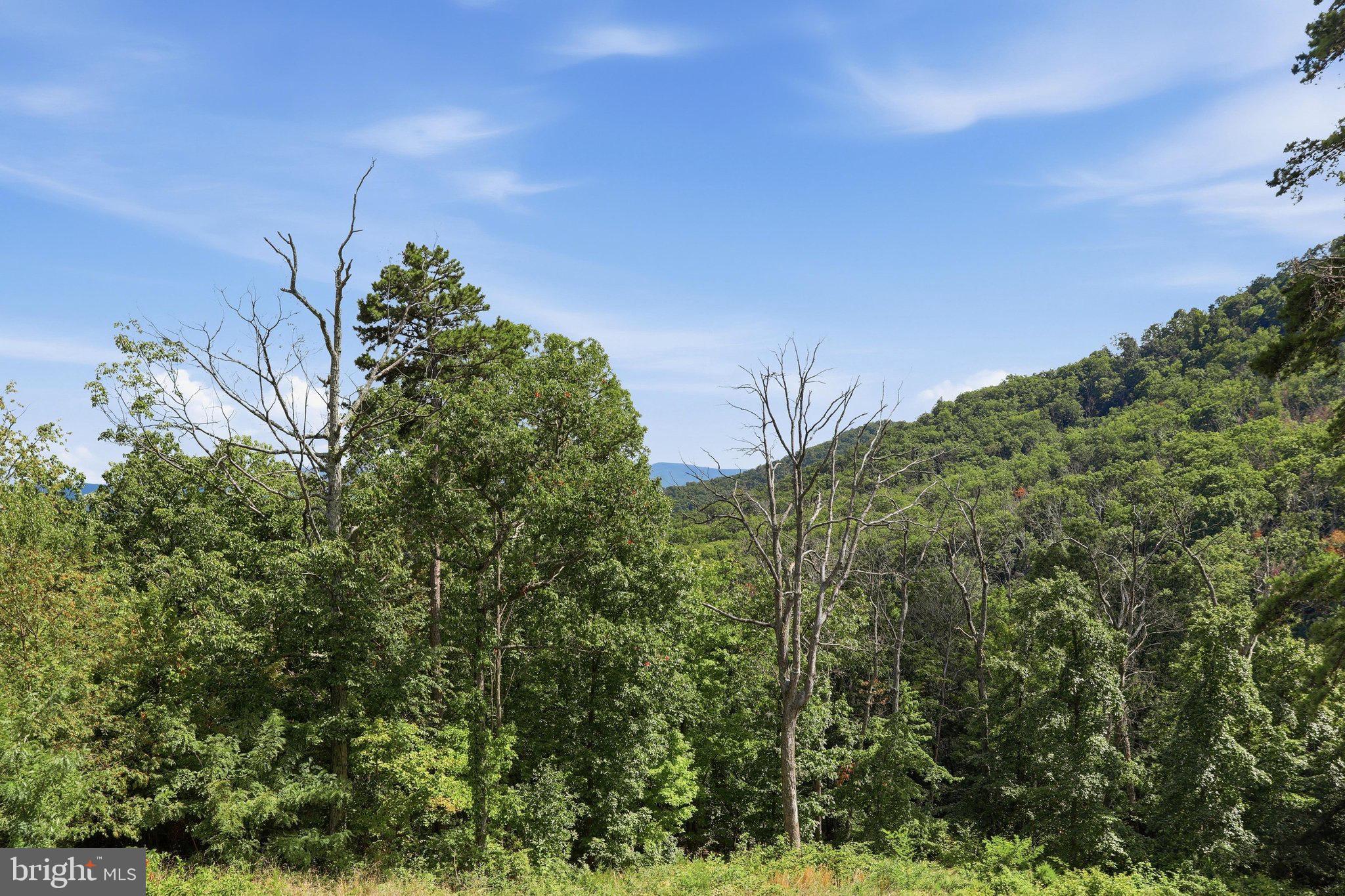 737 Lower Valley Road Strasburg, VA 22657 - Photo 31 of 40 Gallery Image 31