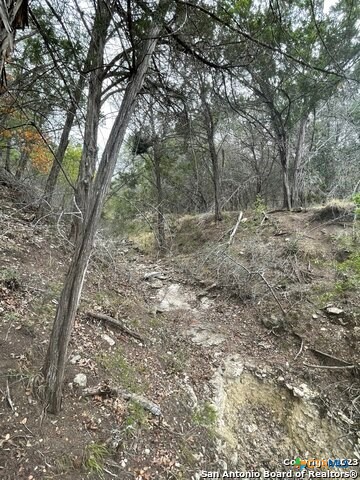 125 Pecan Drive Spring Branch, TX 78070 - Photo 9 of 12