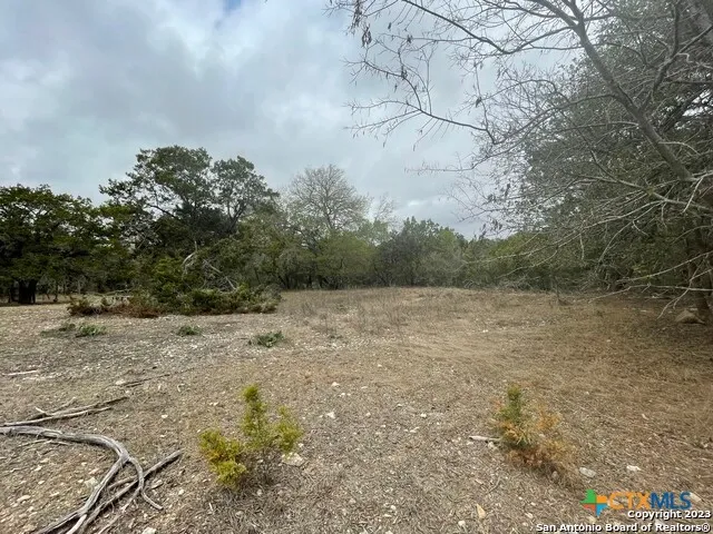 $254,000 | 125 Pecan Drive, Spring Branch, TX 78070