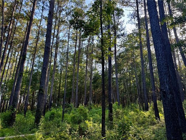 3 Ward Line Road Bogalusa, LA 70427 - Photo 3 of 12