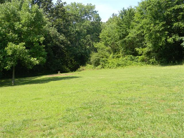 4349 Murfreesboro Road Franklin, TN 37067 - Photo 18 of 20 This is the land leading back towards the woods.