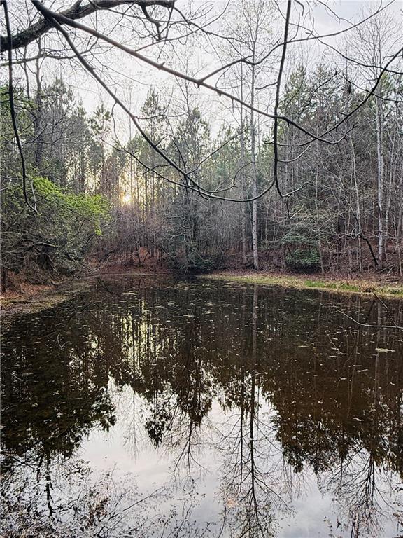 0 Mack Road Seagrove, NC 27341 - Photo 3 of 7