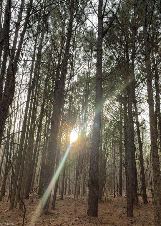 0 Mack Road Seagrove, NC 27341 - Photo 4 of 7