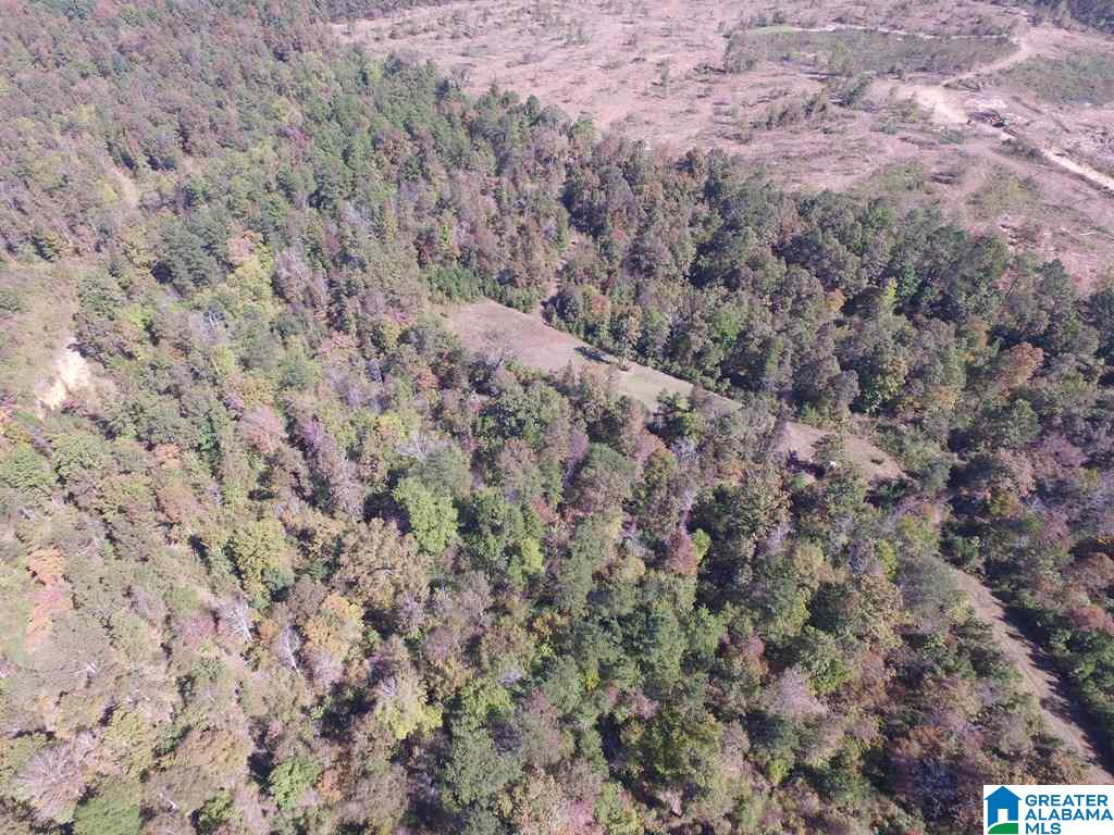 Sprayberry Road, Unit 103 Cropwell, AL 35054 - Photo 14 of 48