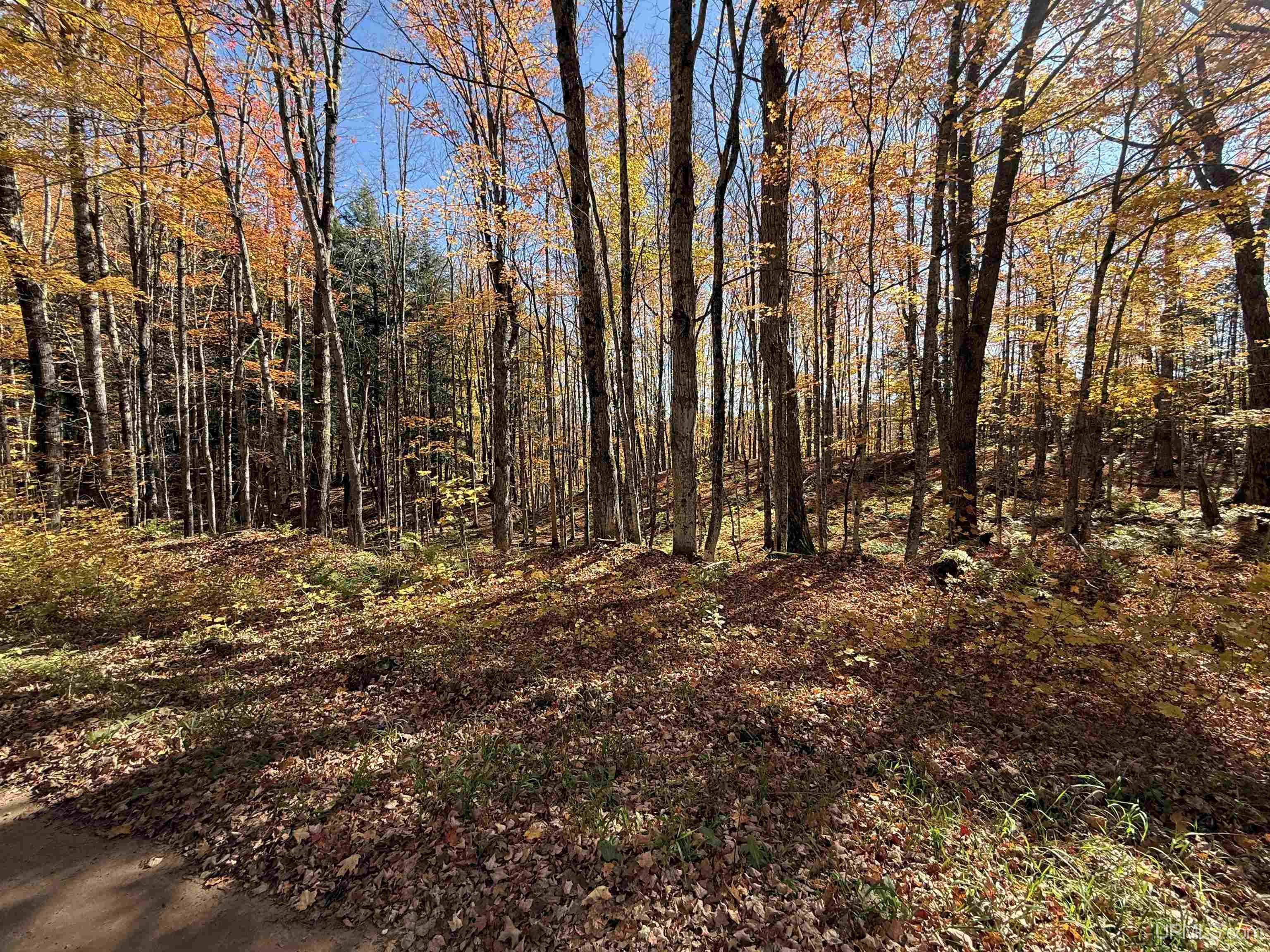 230 Blue Road Pelkie, MI 49958 - Photo 2 of 14