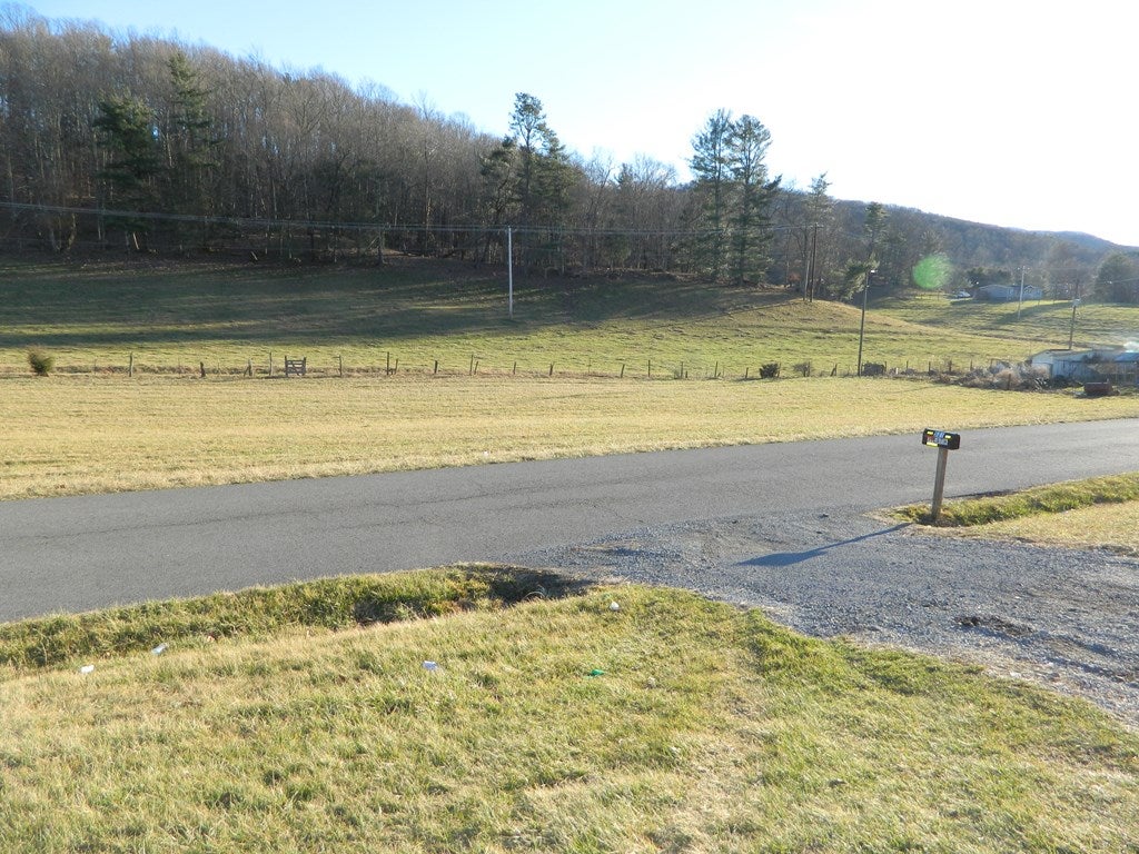 Tbd Dry Fork Road Chilhowie, VA 24319 - Photo 4 of 10 Gallery Image 4