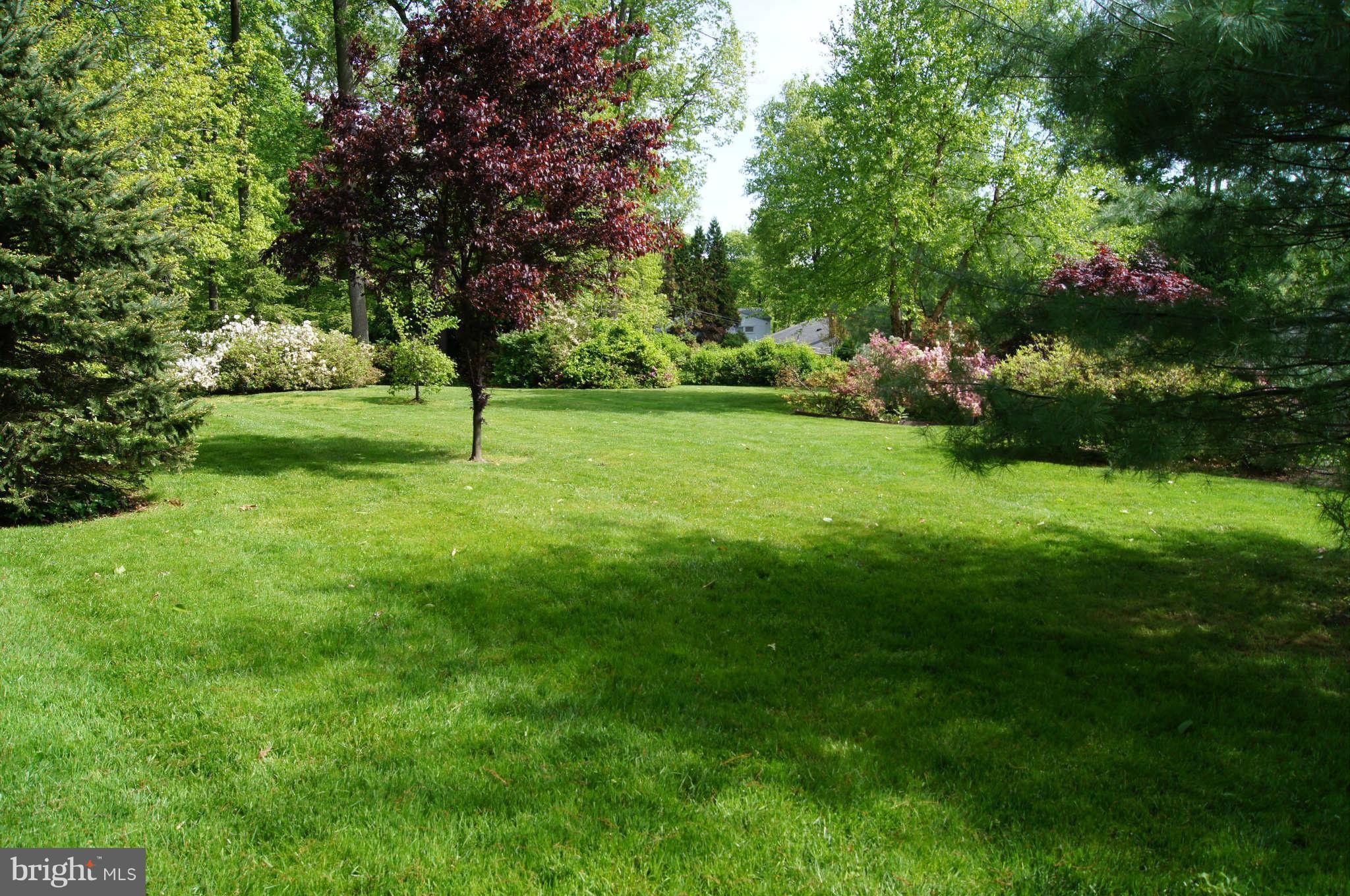1908 Pot Spring Road Lutherville-Timonium, MD 21093 - Photo 3 of 30 Azaleas, red maples, pine trees