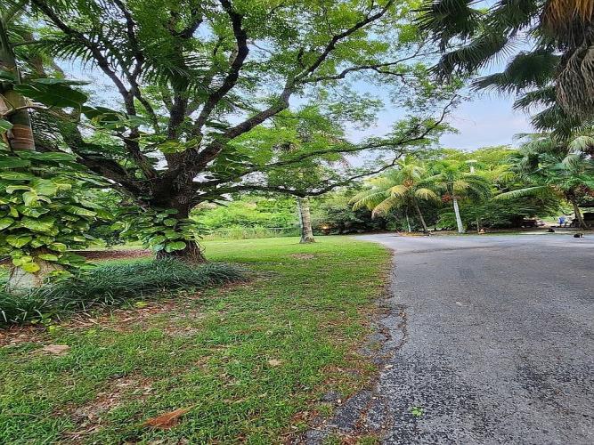 18875 Southwest 232nd Street Miami, FL 33170 - Photo 5 of 28