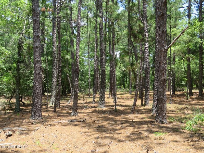 0 Mote Fields Road Harrells, NC 28444 - Photo 2 of 6 IMG_1757
