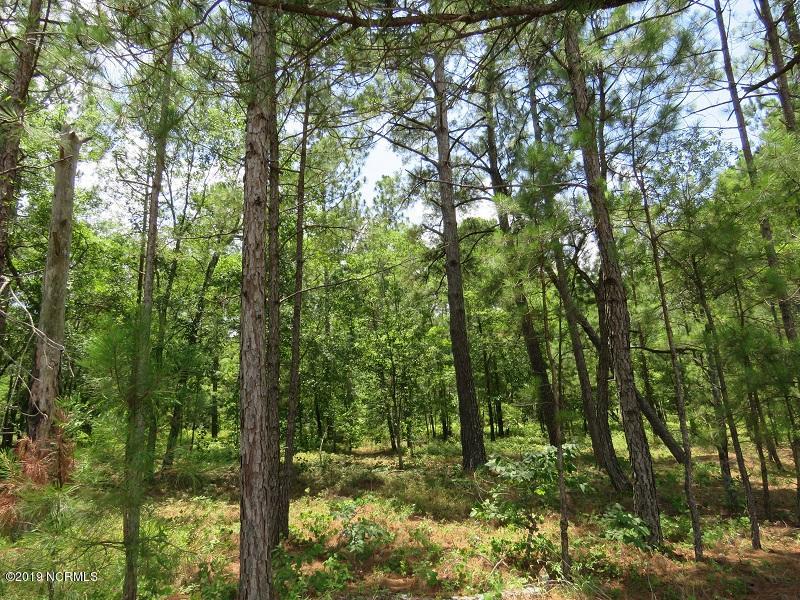 0 Mote Fields Road Harrells, NC 28444 - Photo 5 of 6 IMG_1760