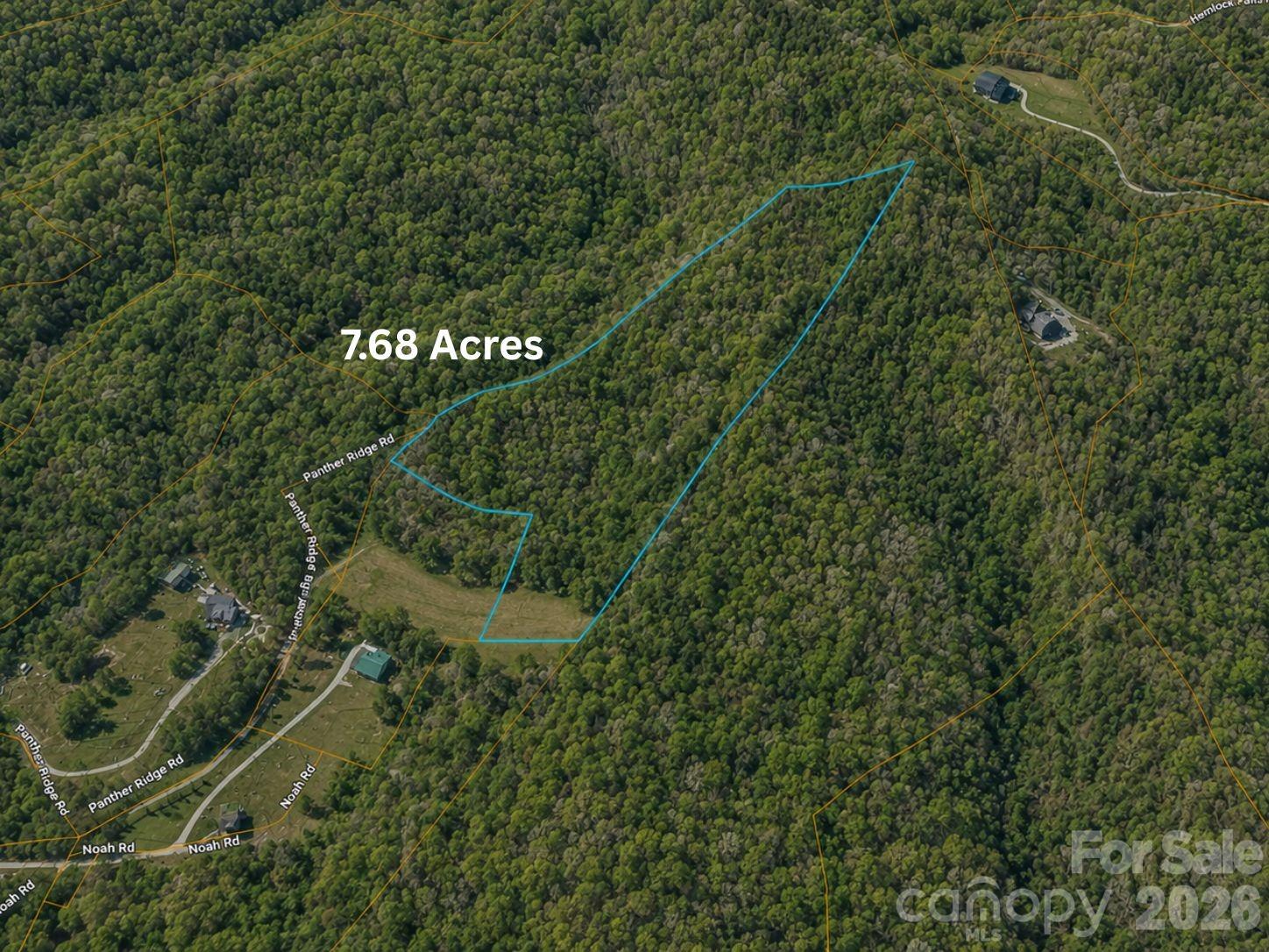 1 Panther Ridge Road Franklin, NC 28734 - Photo 8 of 14
