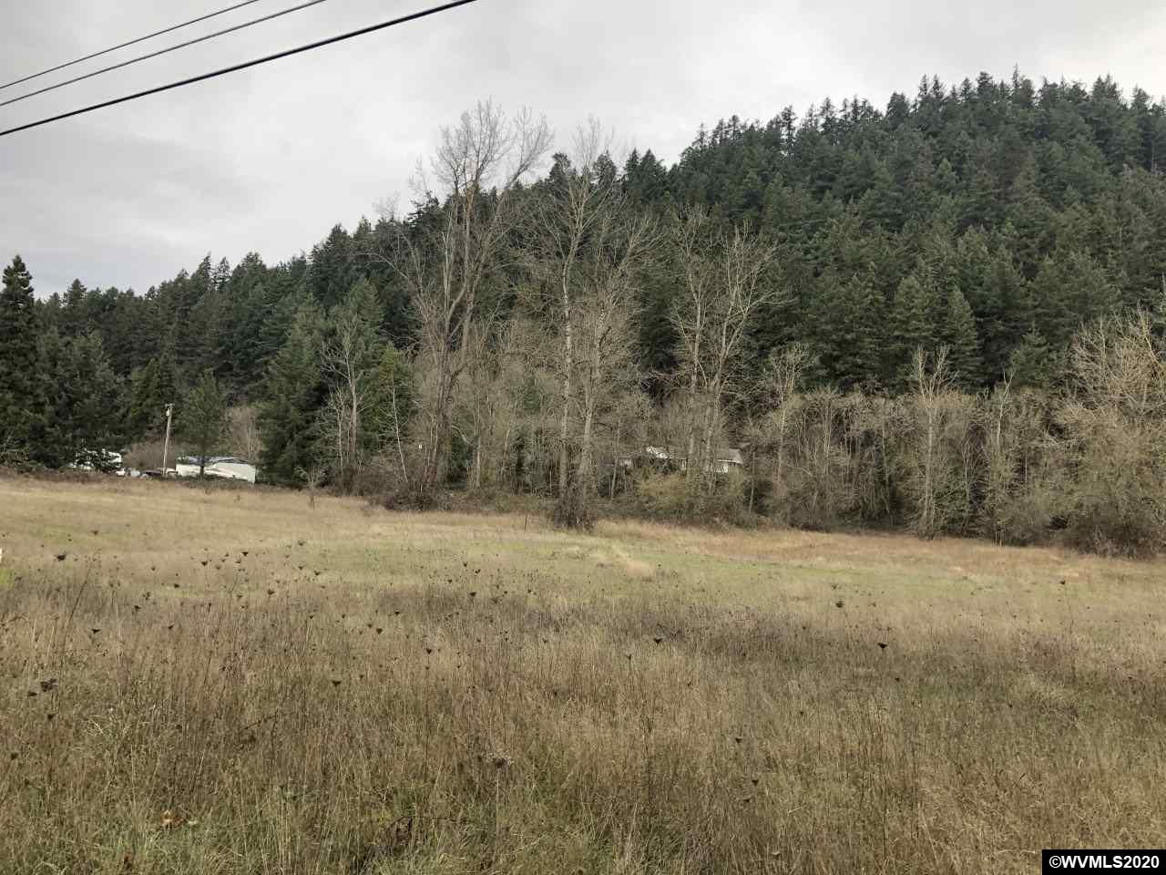 0 Berlin Road Lebanon, OR 97355 - Photo 2 of 6 Gallery Image 2
