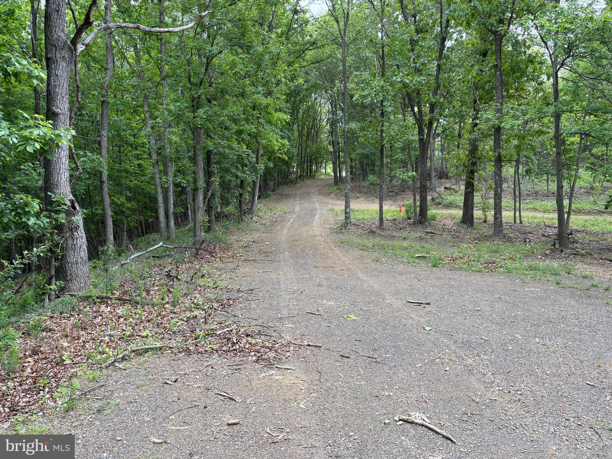 40.15-ac Middle Ridge Road Burlington, WV 26710 - Photo 9 of 47