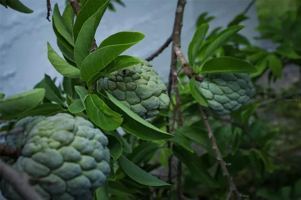 $579,000 | 1675 Thornhill Circle, Oviedo, FL 32765