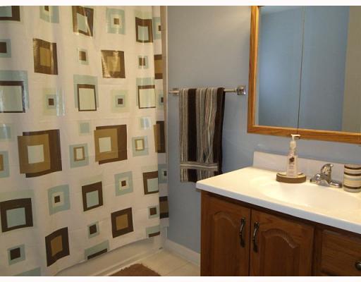 1503 McCully Road Castle Shannon, PA 15234 - Photo 10 of 18 Master Bath/Spa.