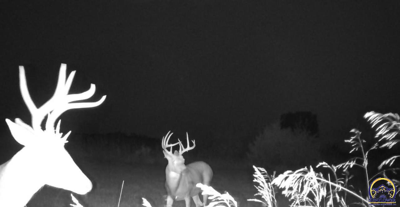 14351 S Road Mayetta, KS 66509 - Photo 12 of 15