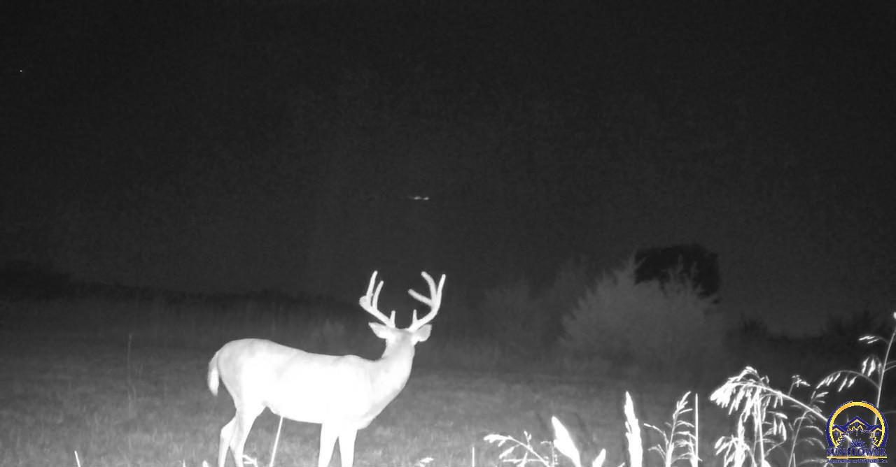 14351 S Road Mayetta, KS 66509 - Photo 12 of 14